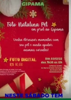 Foto 2 de 3 — Ação Beneficente: fotógrafa realiza ensaio natalino de pets em prol do Gipama